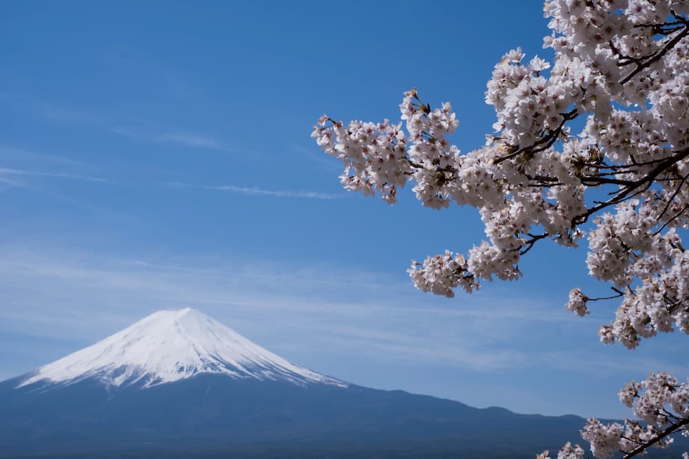 Mt. Fuji